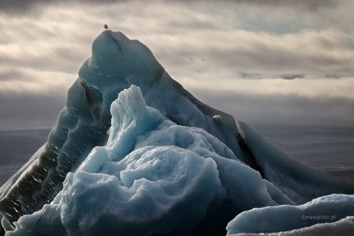 Góry lodowe w zatoce Jokulsarlon