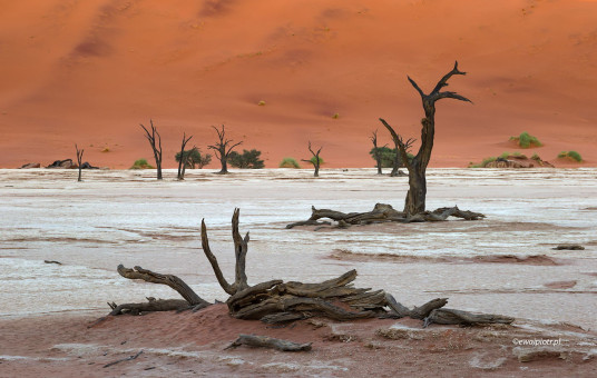 Pustynia w cieniu, Namibia