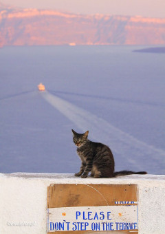 Proszę nie wchodzić na taras, Santorini