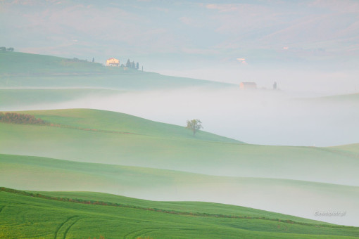 Toskański krajobraz we mgle