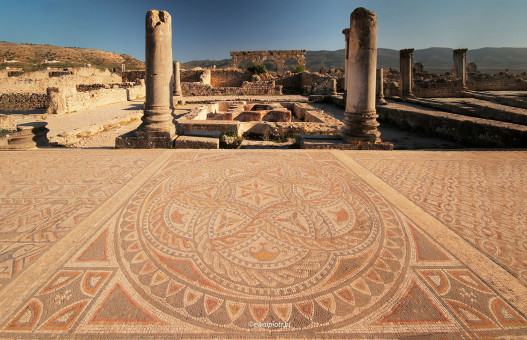 Mozaika w Volubilis, Maroko