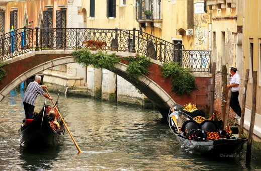 Gondolierzy w Wenecji