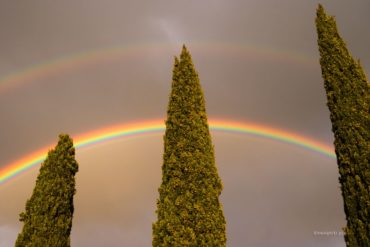 tęcza nad cyprysami, ubezpieczenie od rezygnacji