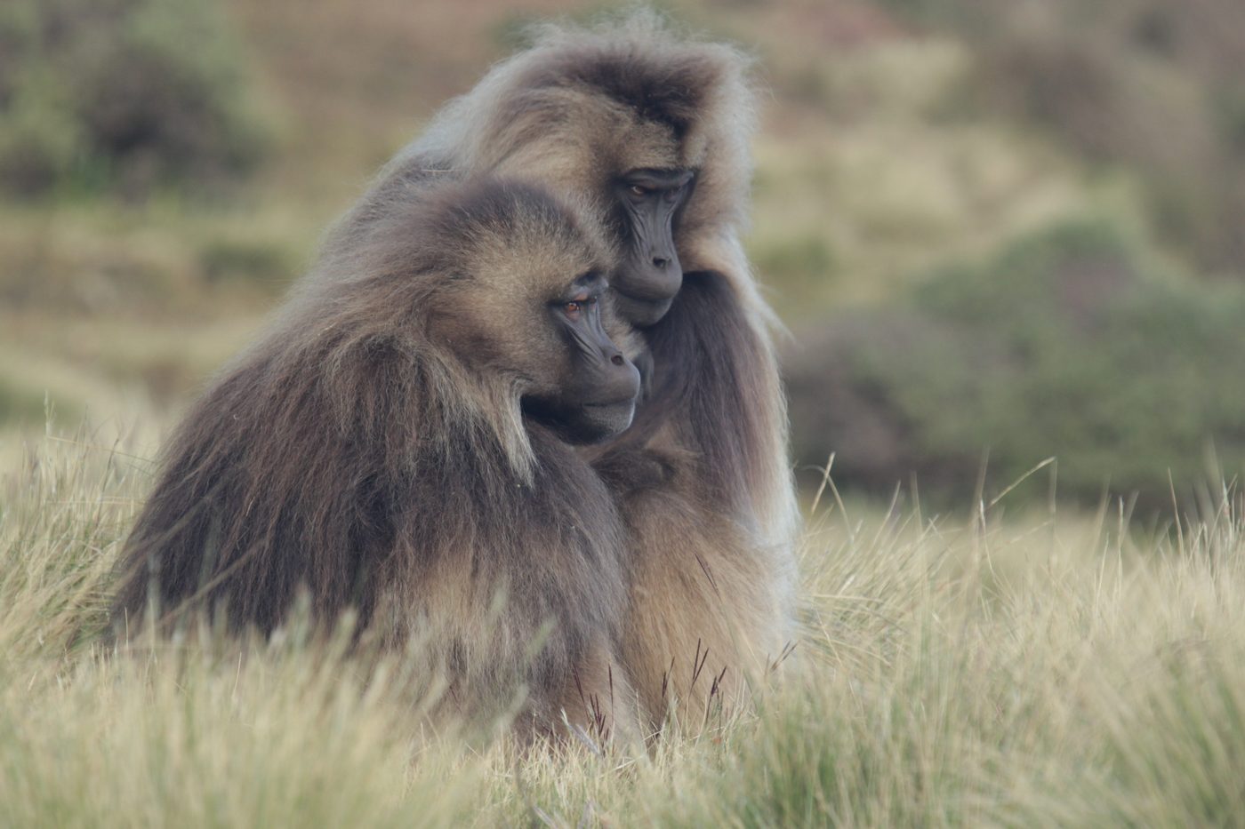 edycja RAW-ów warsztaty
