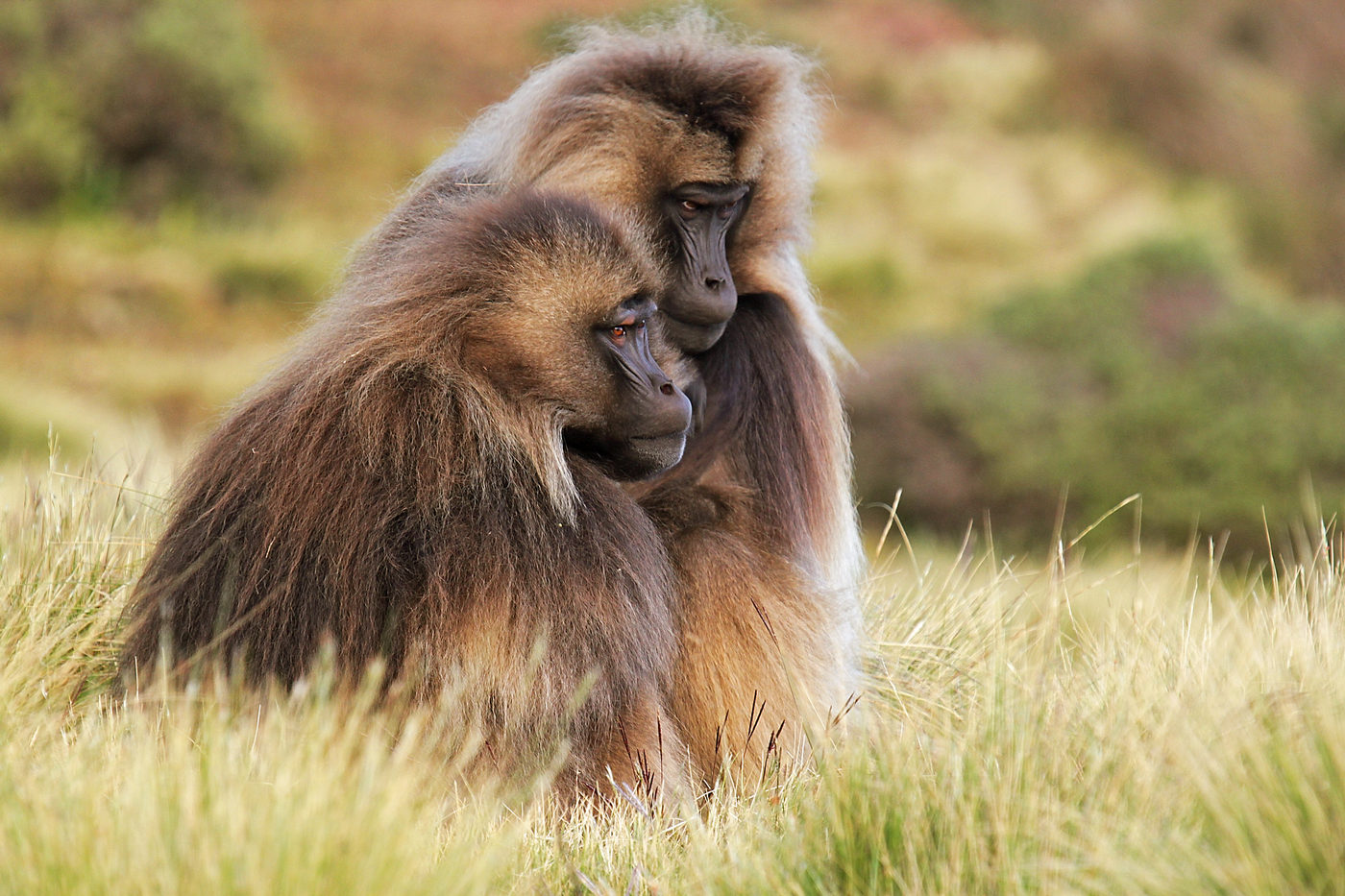 edycja RAW-ów warsztaty