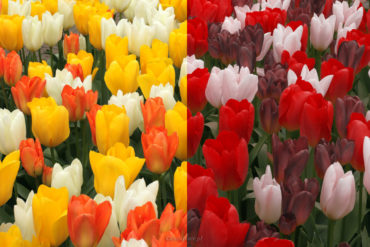 warsztaty Photoshopa