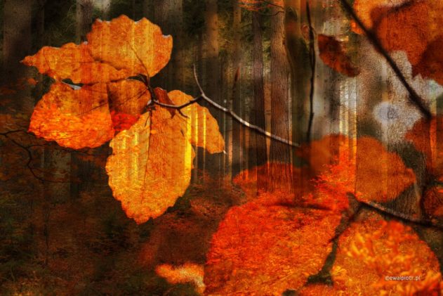 Warstwy, podwójna ekspozycja