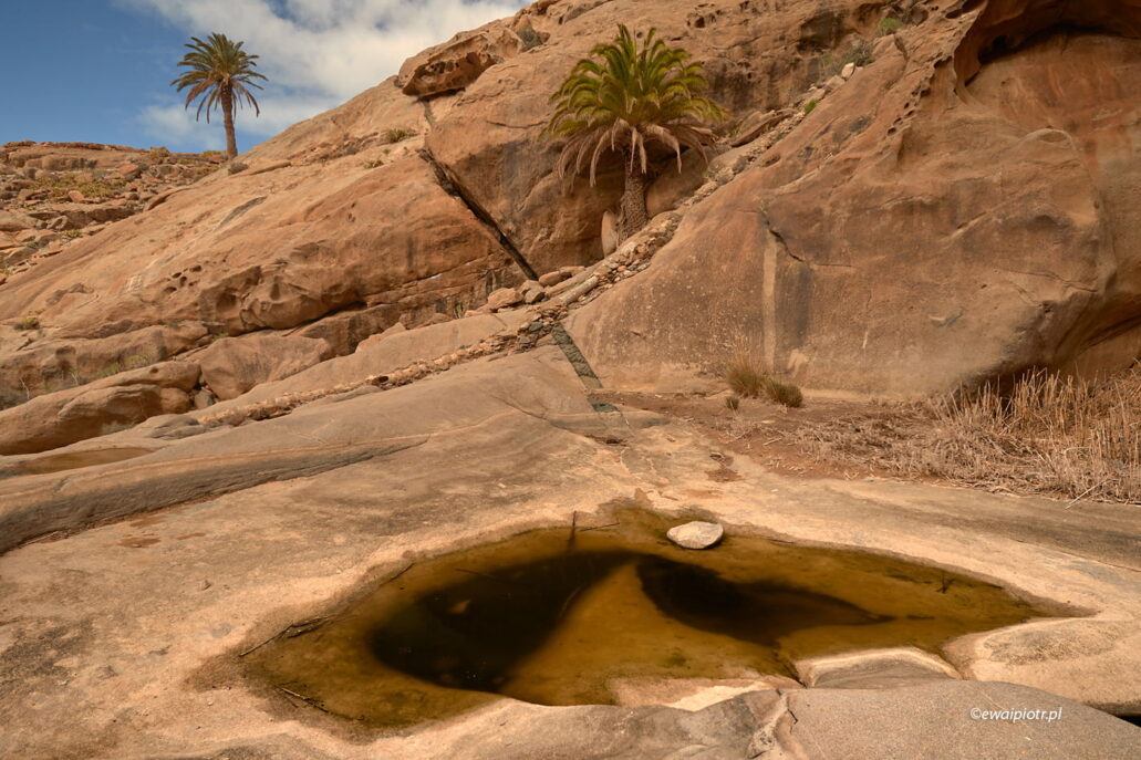 Palma, skały i oczko wodne, Wyspy Kanaryjskie, wyprawa foto