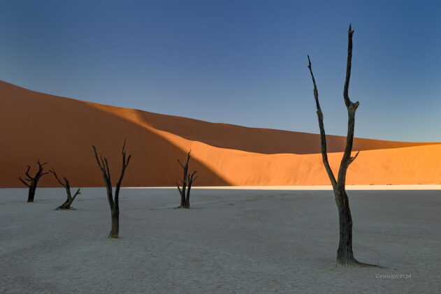 Martwy Las Deadvlei, Namibia, fotowyprawa