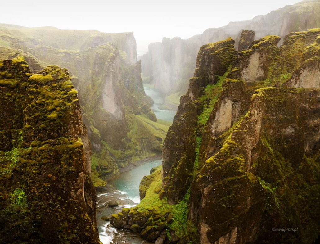 Kanion Fjaðrárgljúfur we mgle, Islandia, fotowyprawa