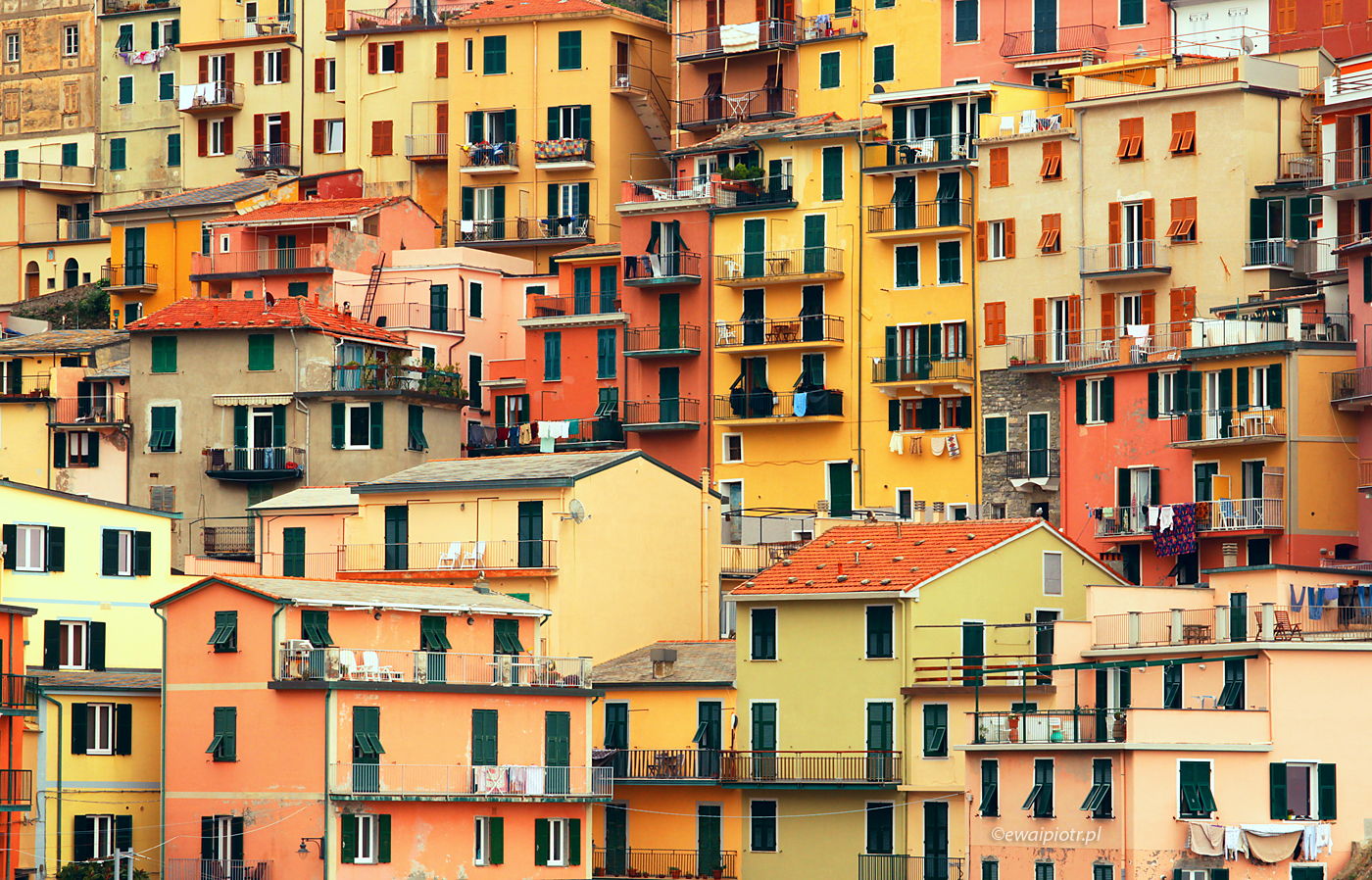 Kolorowe domki Manaroli, Cinque Terre, plener fotograficzny we Włoszech