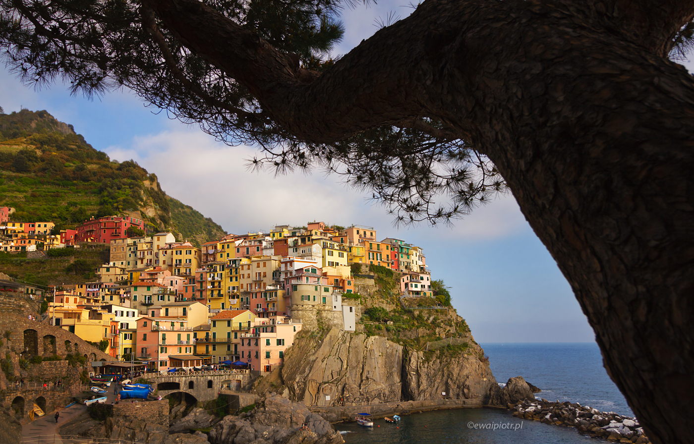Manarola zza drzewa, Cinque Terre, warsztaty fotograficzne