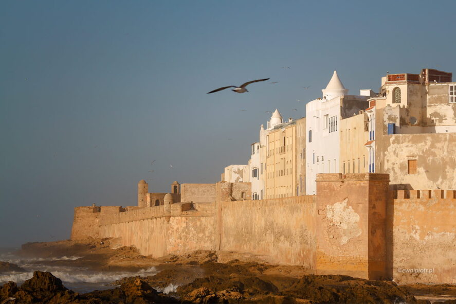 Mury Essaouiry, Maroko, fotowyprawa