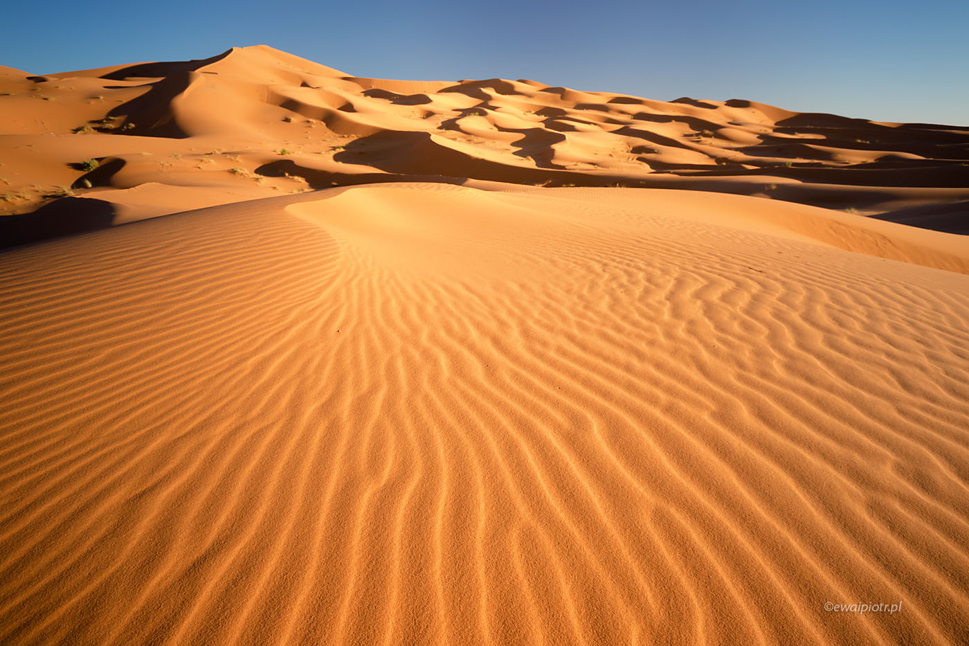 Fale na Saharze, Maroko, pustynia, fotowyprawa