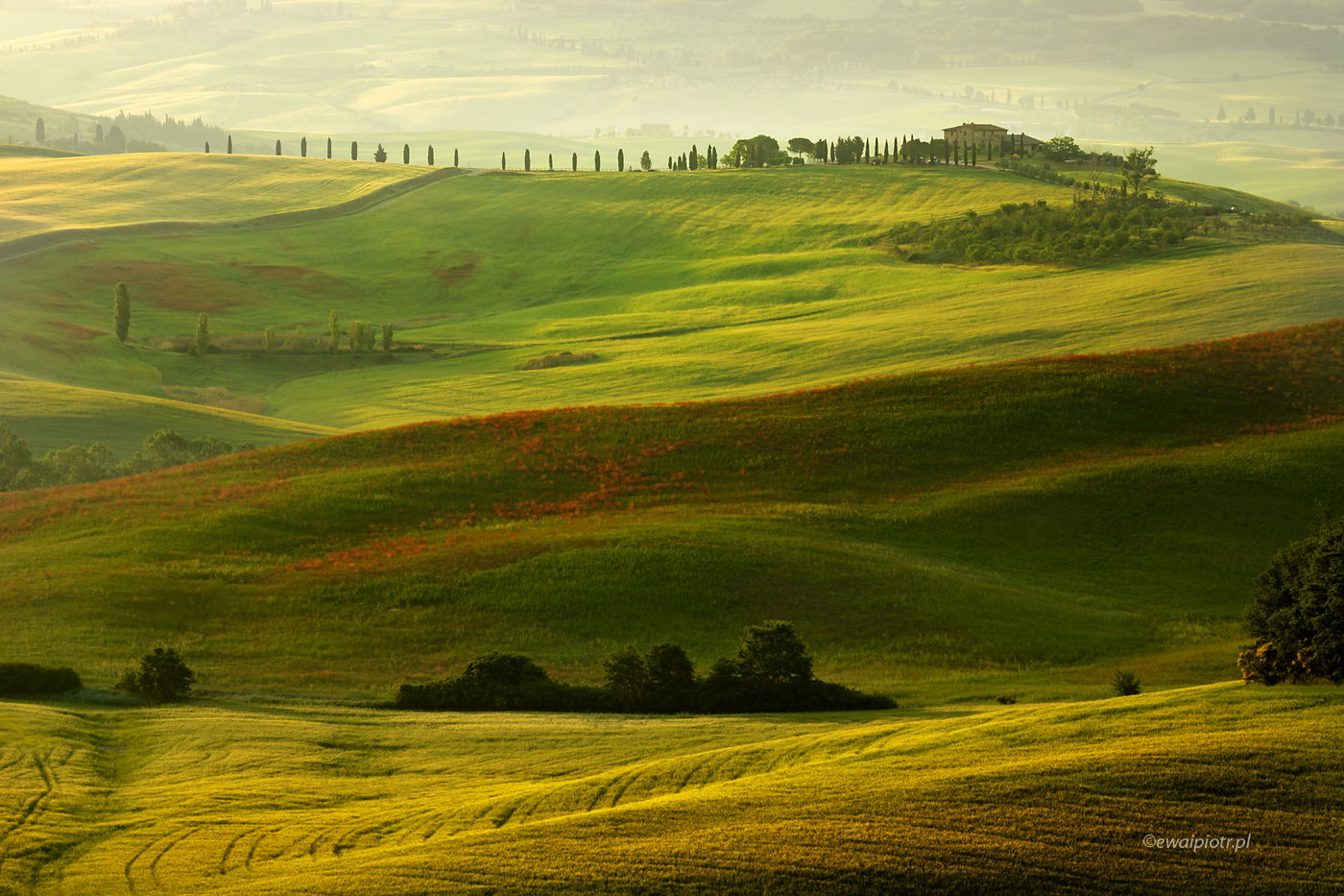 Wiosna w Val d'Orcia, Toskania, fotowyprawa