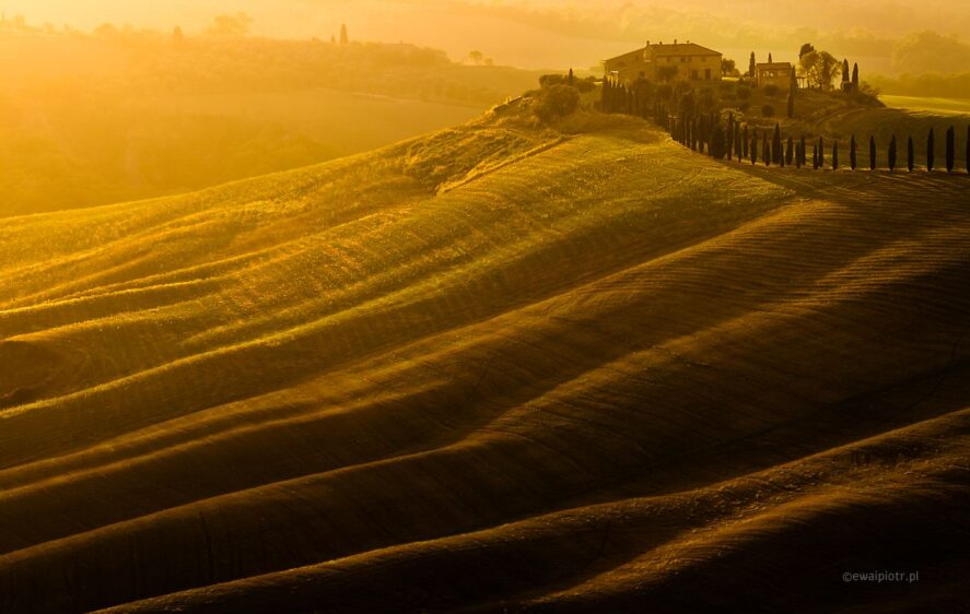 Poranek wśród wzgórz, Toskania