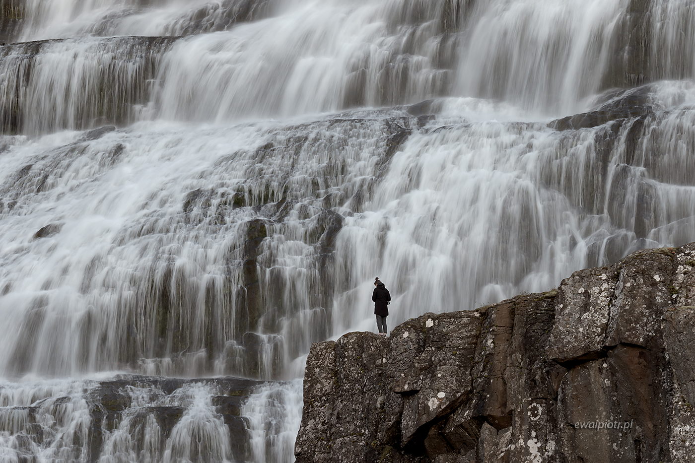 Wodospad Dynjandi, Islandia, wyprawa przyrodnicza