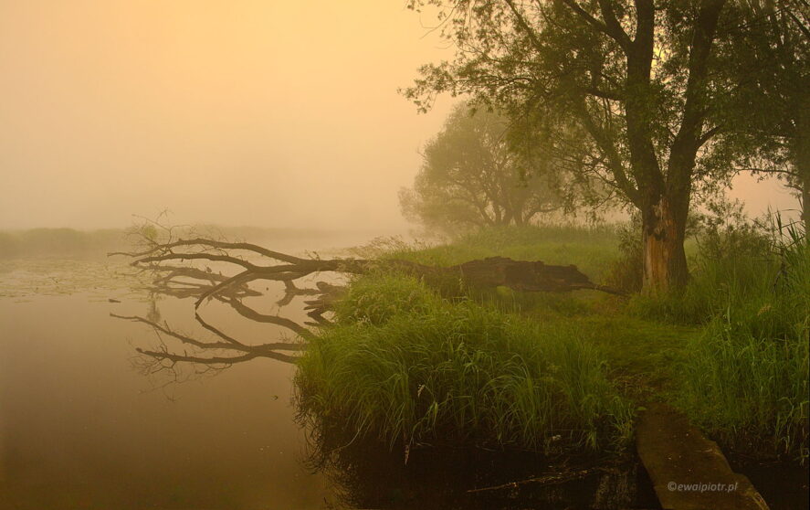 Nida we mgle, Czarowne Świętokrzyskie, warsztaty fotograficzne