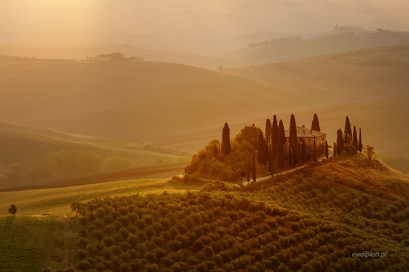 Willa Belvedere, Toskania, wyprawa fotograficzna