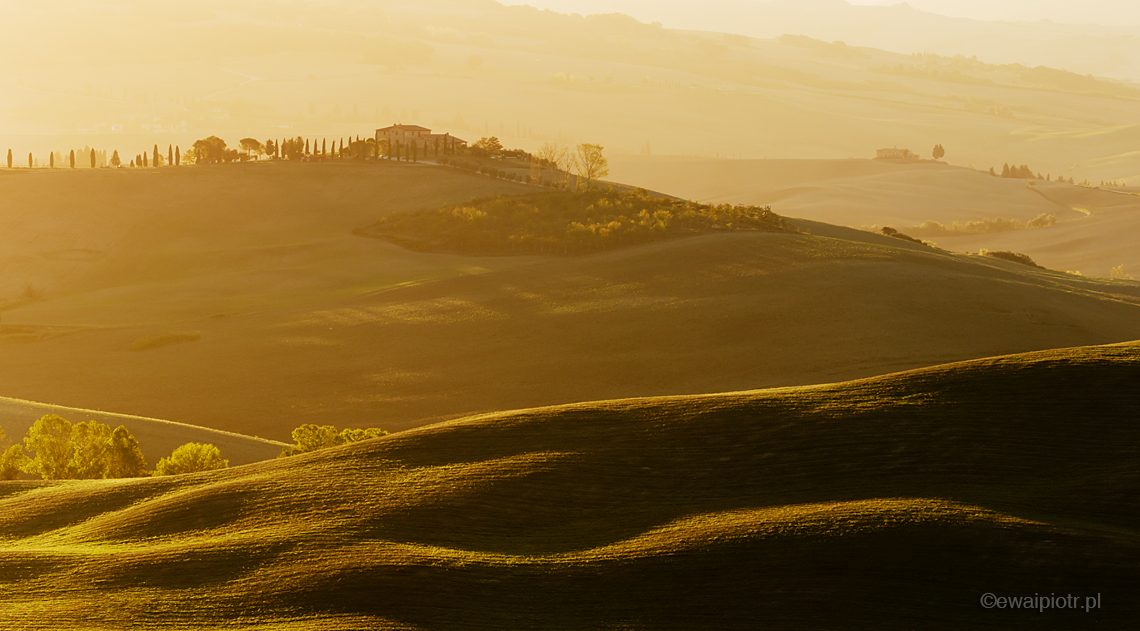 Złote wzgórza w toskańskim krajobrazie, Toskania, fotowyprawa