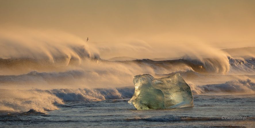 Diamentowa Plaża i wiatr, Islandia, wyprawa fotograficzna