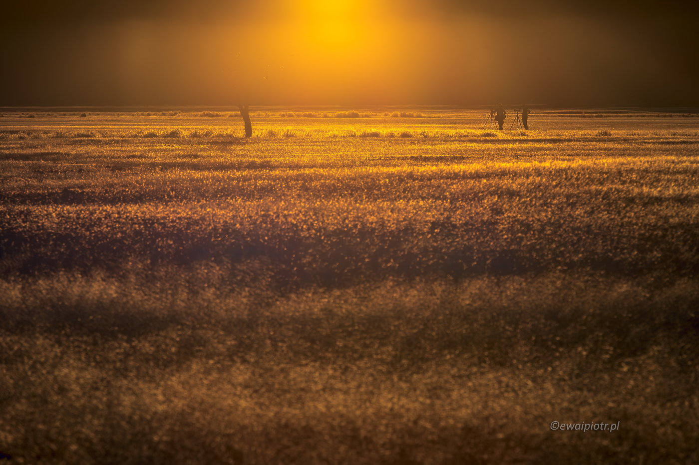 Fotografowie o zachodzie słońca w Namibii
