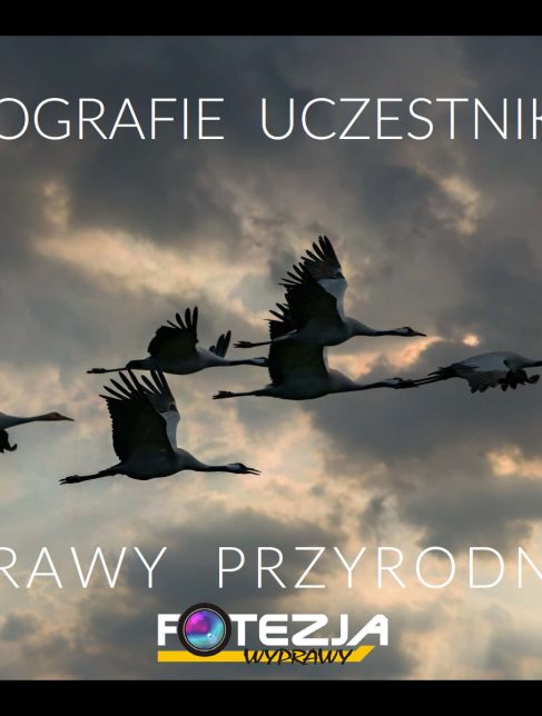 Album fotograficzny Wyprawy Przyrodnicze Fotezji - Fotografie Uczestników