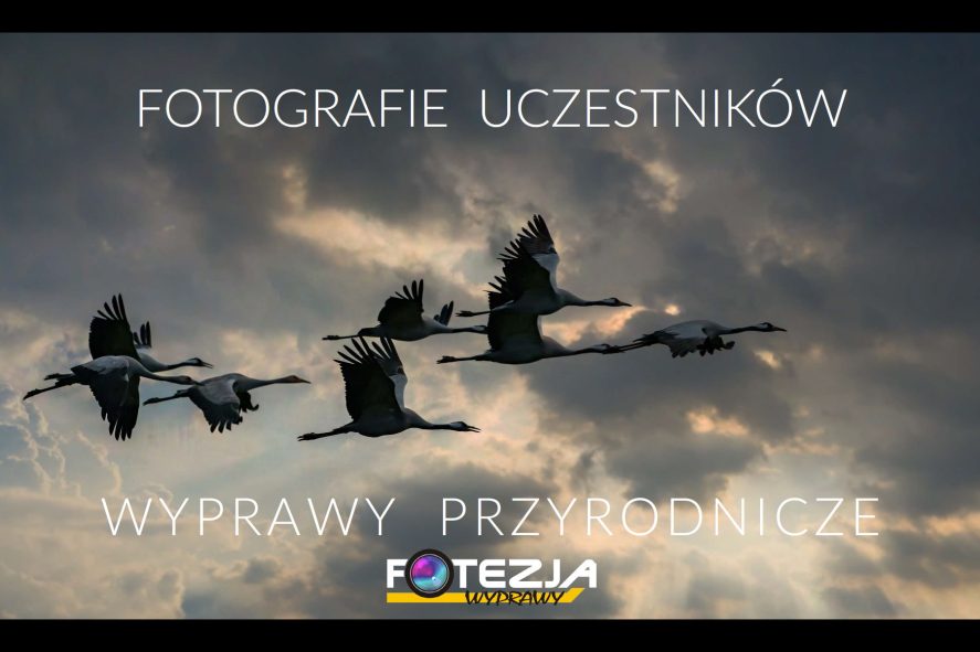 Album fotograficzny Wyprawy Przyrodnicze Fotezji - Fotografie Uczestników