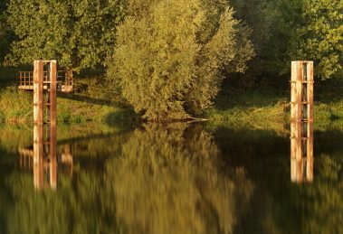 Fader czy warto kupić - test