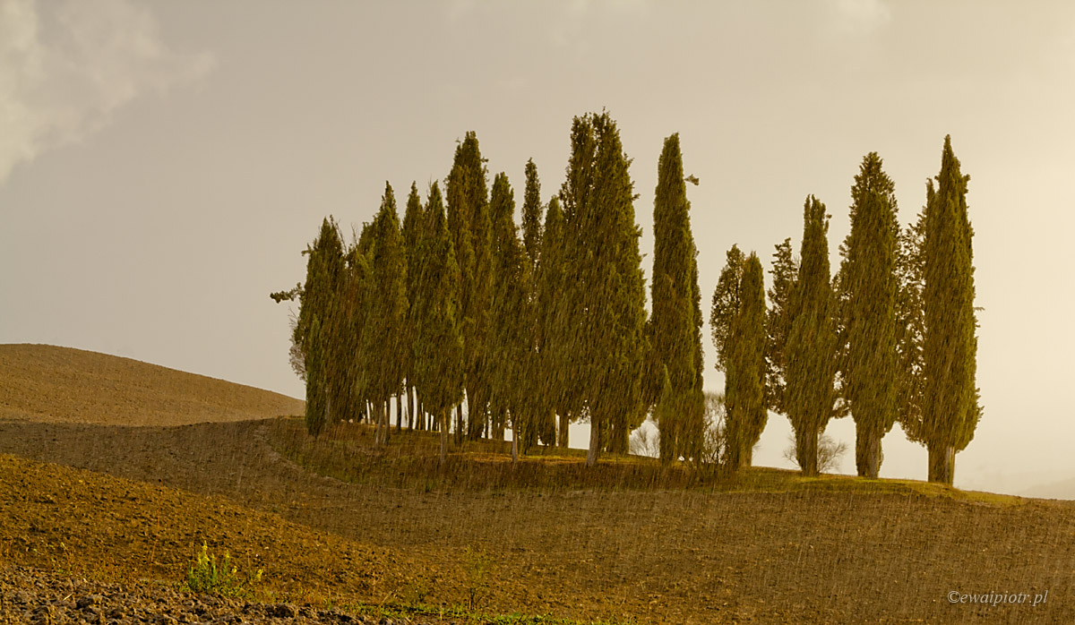 Krajobraz w deszczu, Toskania