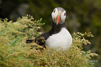 Kiedy nie używać statywu w podróży