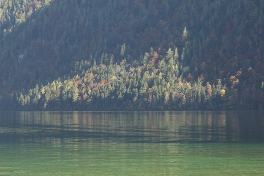 Działanie filtra polaryzacyjnego