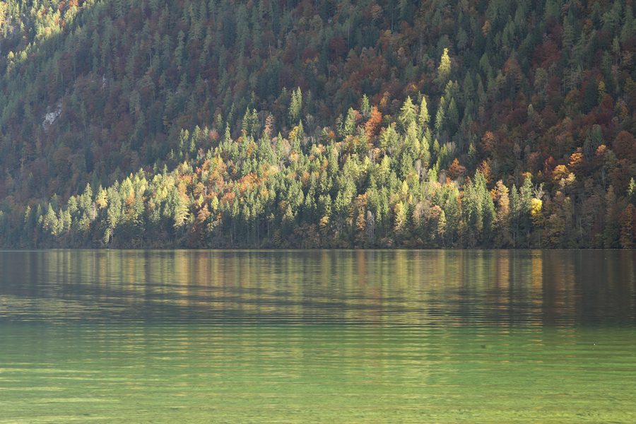 Działanie filtra polaryzacyjnego