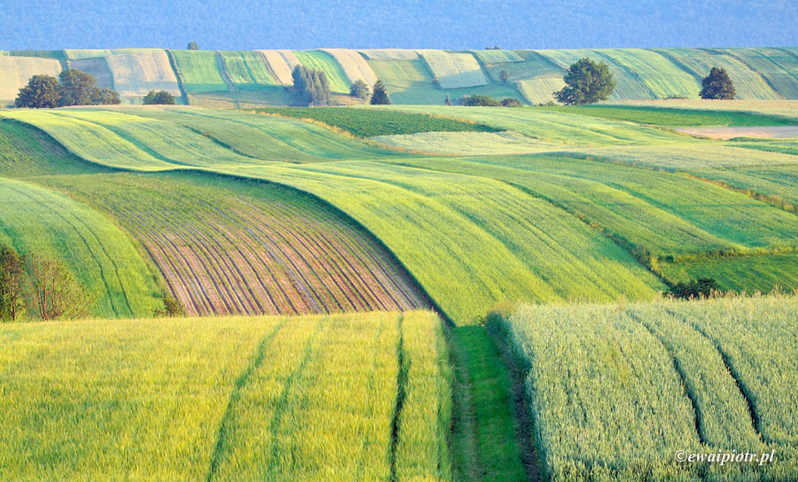 Świętokrzyska Toskania, obiektyw do krajobrazu