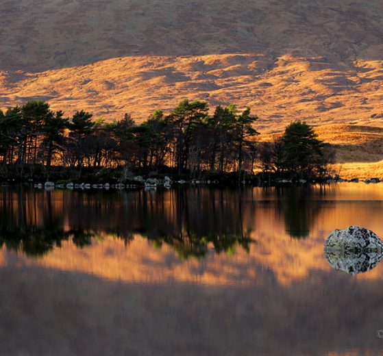 Jaki obiektyw do krajobrazu - poradnik