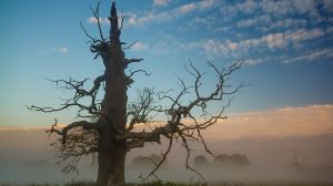Jak wyrównać jasność nieba na zdjęciu