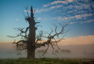 Jak wyrównać jasność nieba na zdjęciu