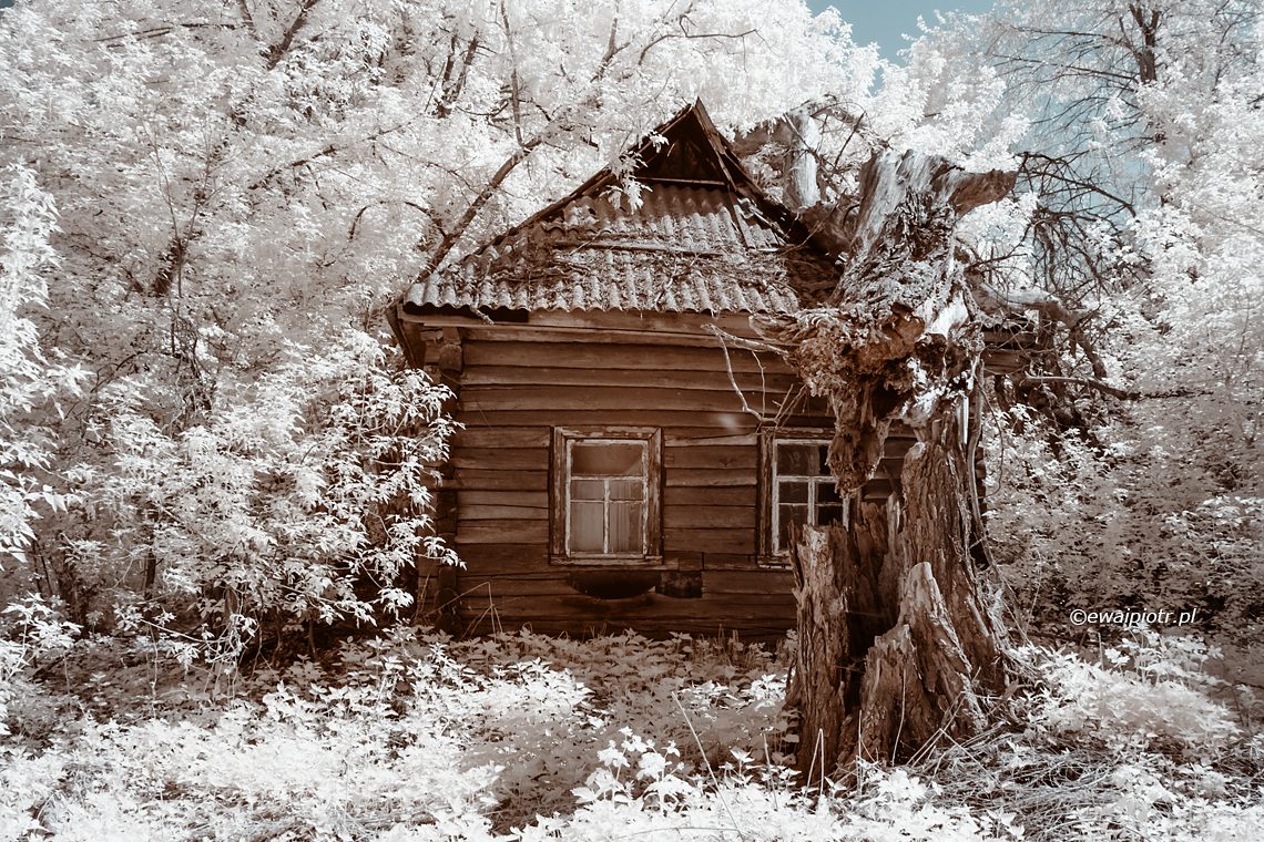 Zrujnowany dom, infrared, okolice Czarnobyla