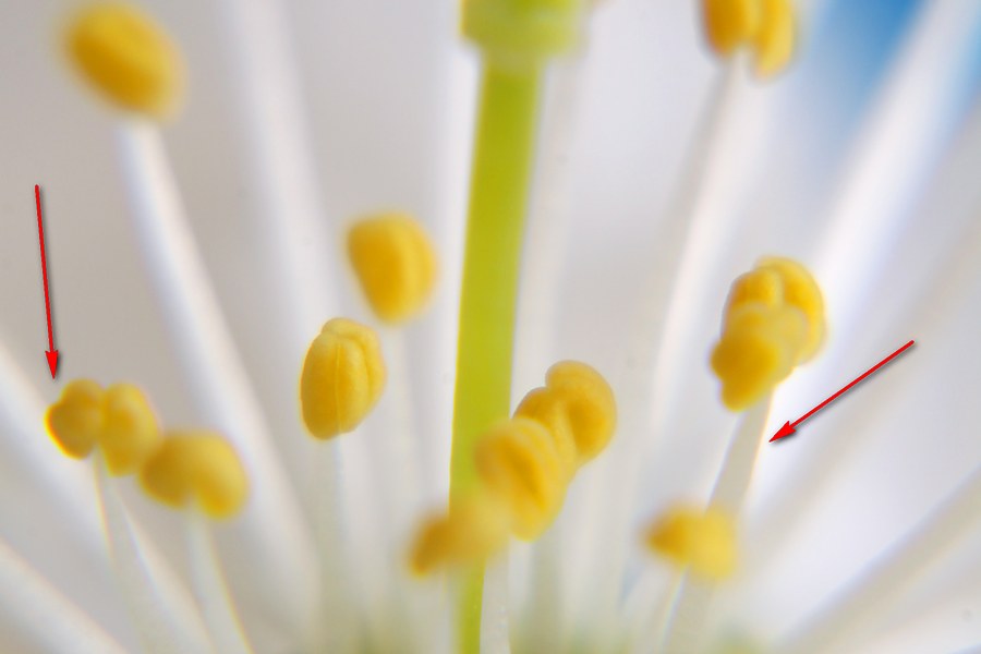 Soczewka makro, wady, aberracje chromatyczne