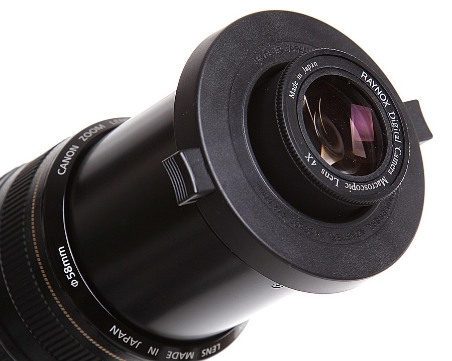 Raynox, konwerter makro, soczewki makro, poradnik, fotografowanie makro