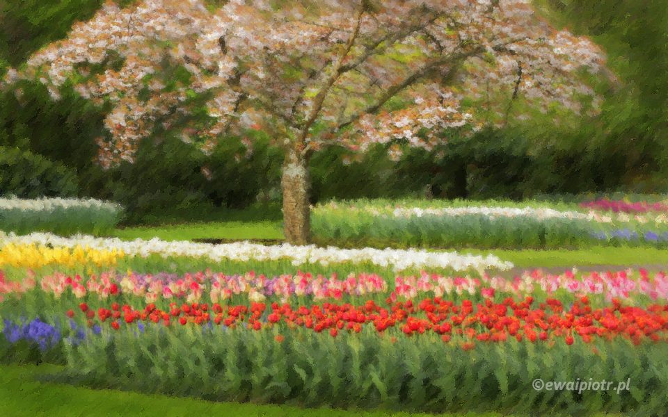 Ogród Moneta - efekt impresjonistyczny z Photoshopa