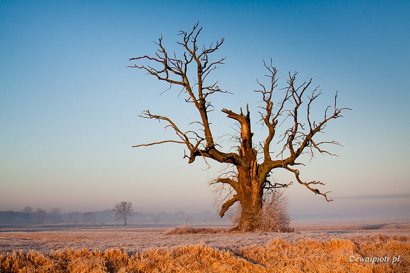 jak przerobić zdjęcie na czarno-białe