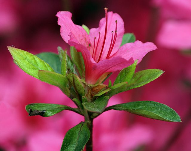 jak przerobić zdjęcie na czarno-białe