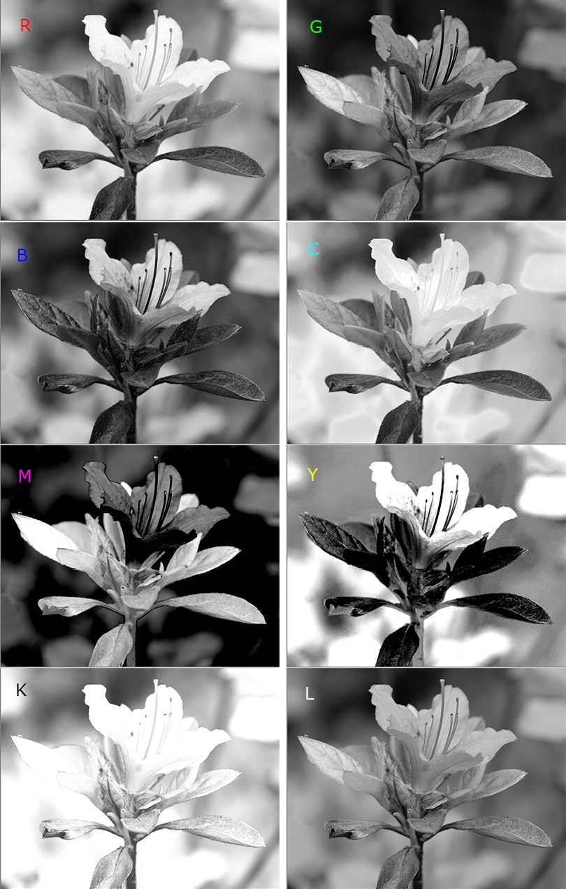 jak przerobić zdjęcie na czarno-białe