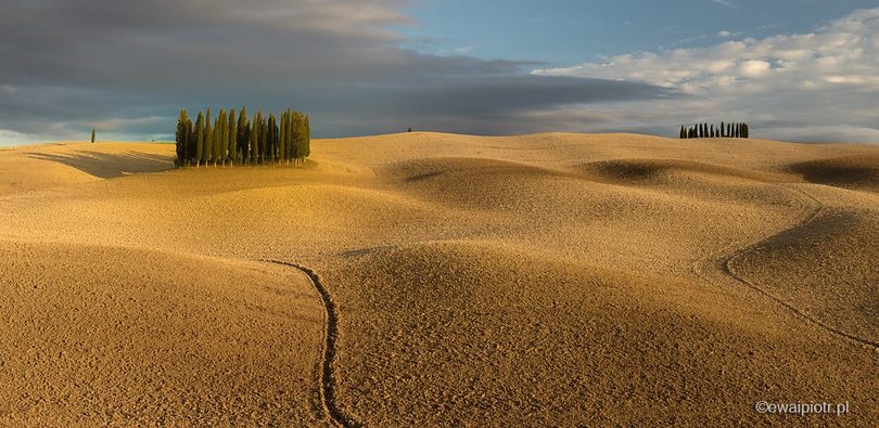 Cyprysy i brązowe pole, Toskania, prosta kompozycja, poradnik dla fotografa