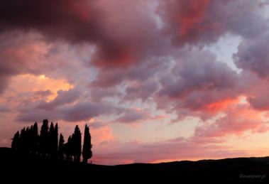 Cyprysy o zachodzie, Toskania, prosta kompozycja