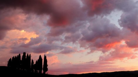 Cyprysy o zachodzie, Toskania, prosta kompozycja
