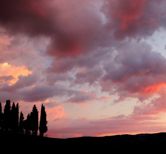 Cyprysy o zachodzie, Toskania, prosta kompozycja