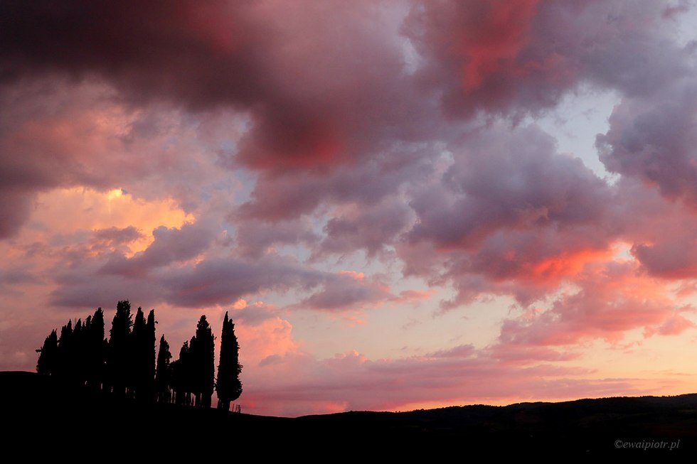 Cyprysy o zachodzie, Toskania, prosta kompozycja