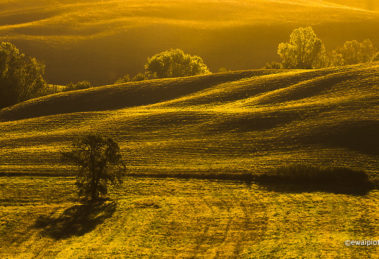 Toskańska jesień, plastyka obrazu, światło w fotografii